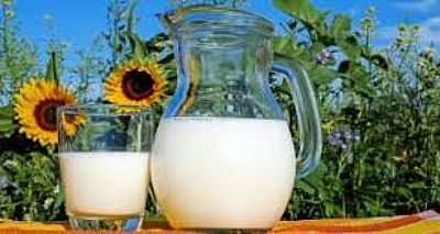 Novas evidências sobre benefícios das proteínas do soro de leite para homens e mulheres