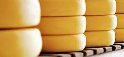 SC capacita profissionais e estudantes para a produção de queijos em parceria com Globalfood e DSM
