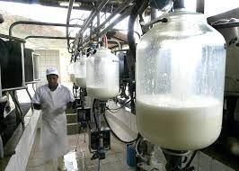 Em várias regiões, queda ou estabilidde no de 2,20% no preço do leite a ser pago em junho