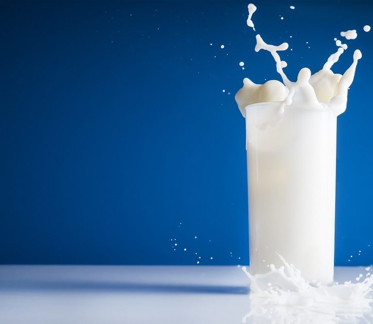 IBGE detalha queda da produção total de leite em 2022