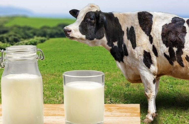 Preço do leite ao produtor fecha o 1º trimestre com alta de 9,3%