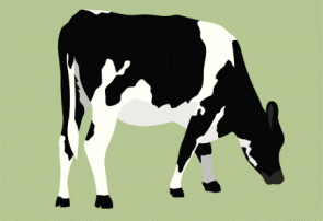Como podemos tornar a produção de leite mais sustentável