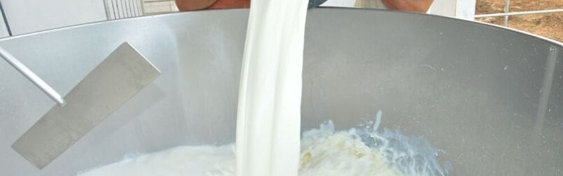 Preço do leite ao produtor cai 28% nos últimos 12 meses, diz Embrapa