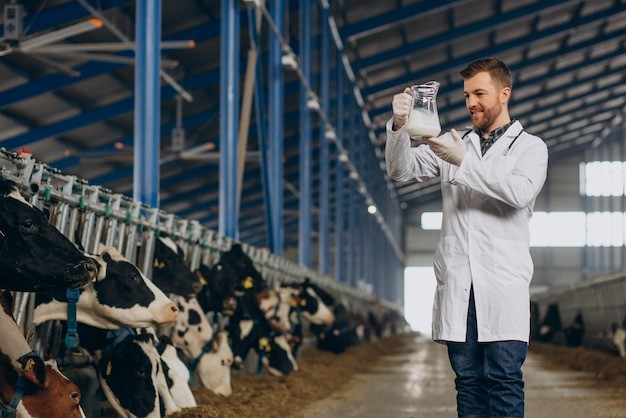 Dados preliminares do IBGE mostram recuperação na produção de leite